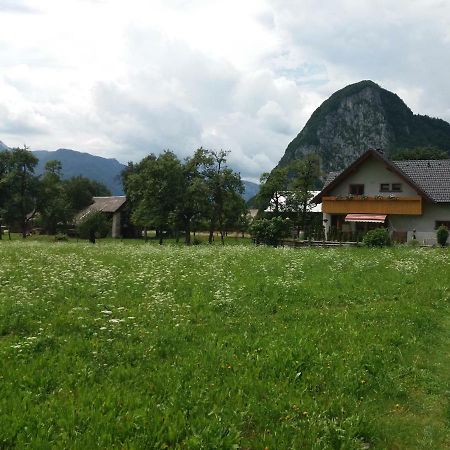 Apartmaji Bremec Bohinj Extérieur photo