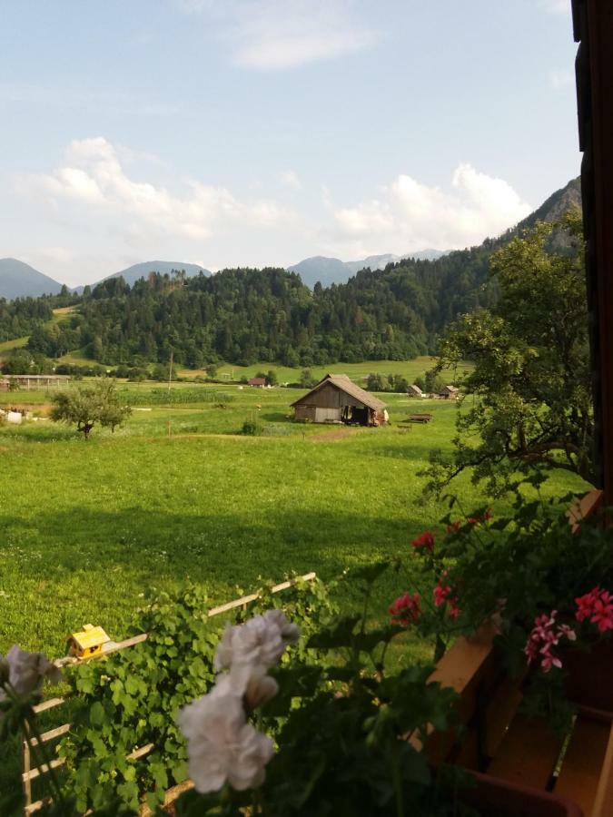 Apartmaji Bremec Bohinj Extérieur photo