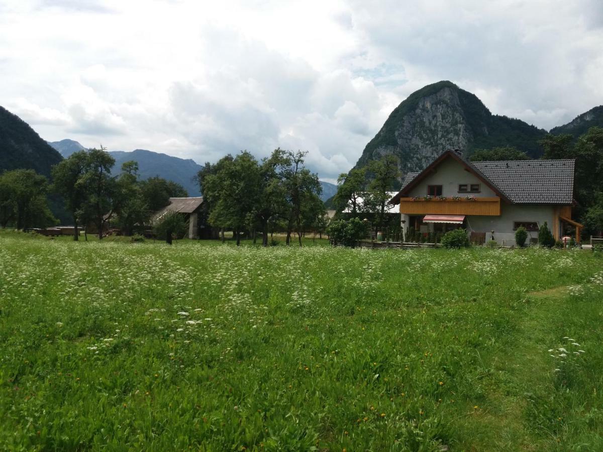 Apartmaji Bremec Bohinj Extérieur photo
